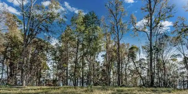 Lot 763 NORTH NATCHEZ DR