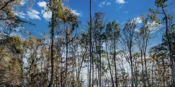 Lot 762 NORTH NATCHEZ DR