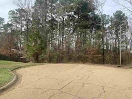 Lot 222 RUSTIC WAY