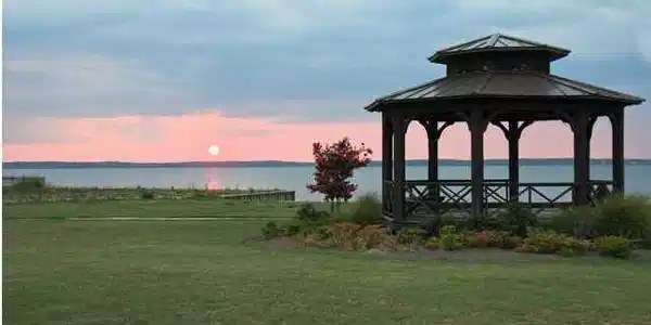 411 PORT ARBOR
