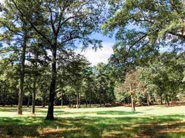 SPRING BRANCH DR