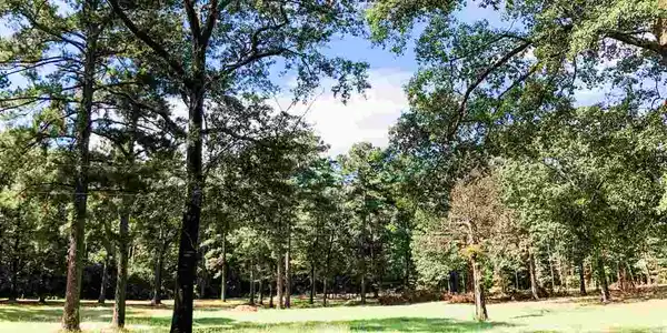 SPRING BRANCH DR