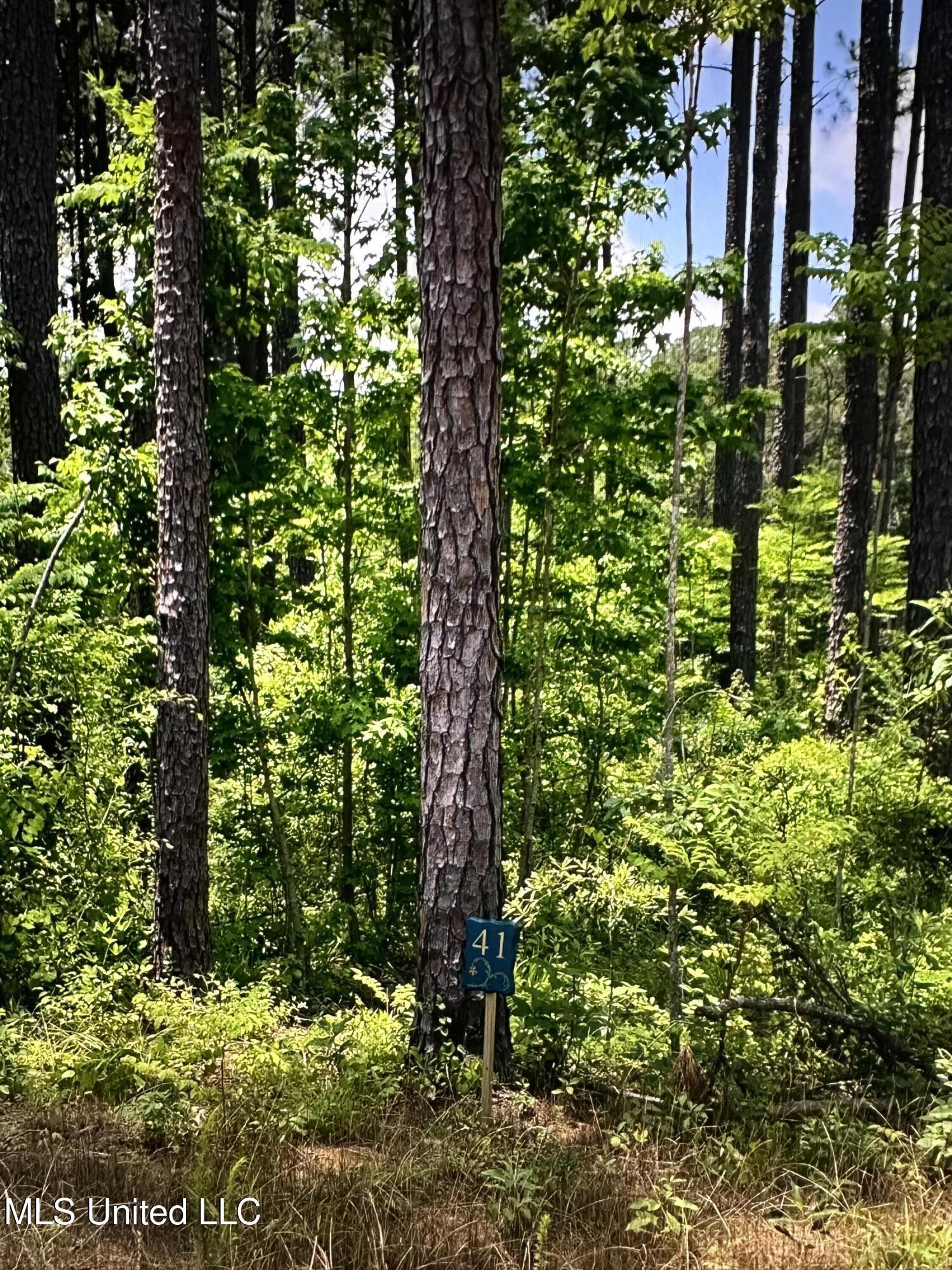 Image 3: Expedition Point lot 41