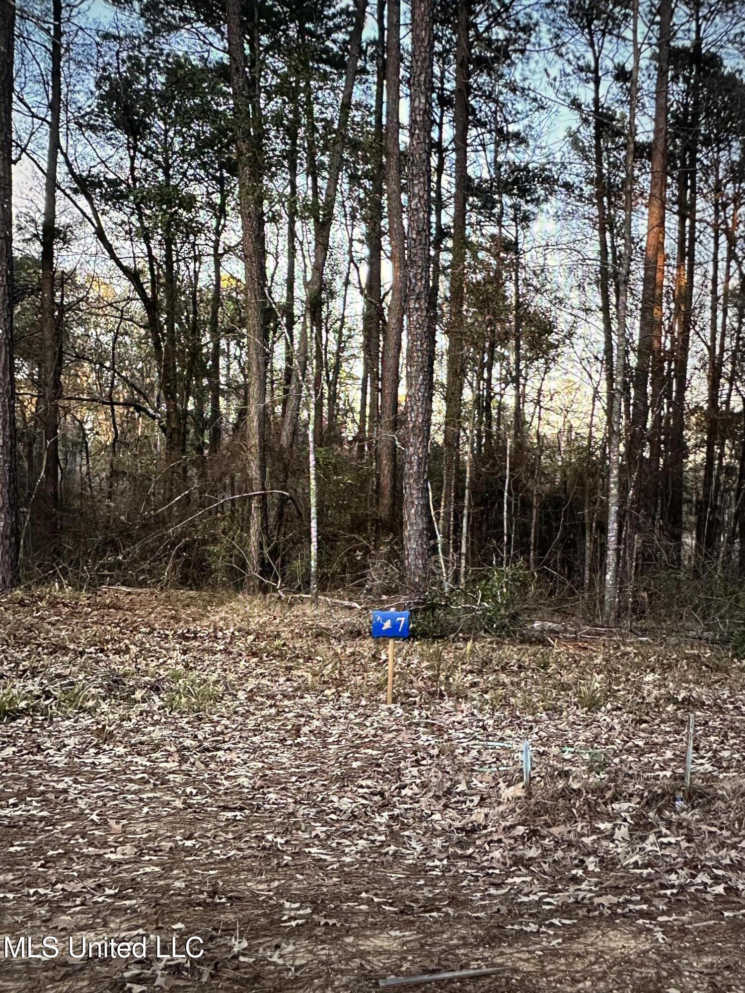 Image 3: Expedition Point lot 7