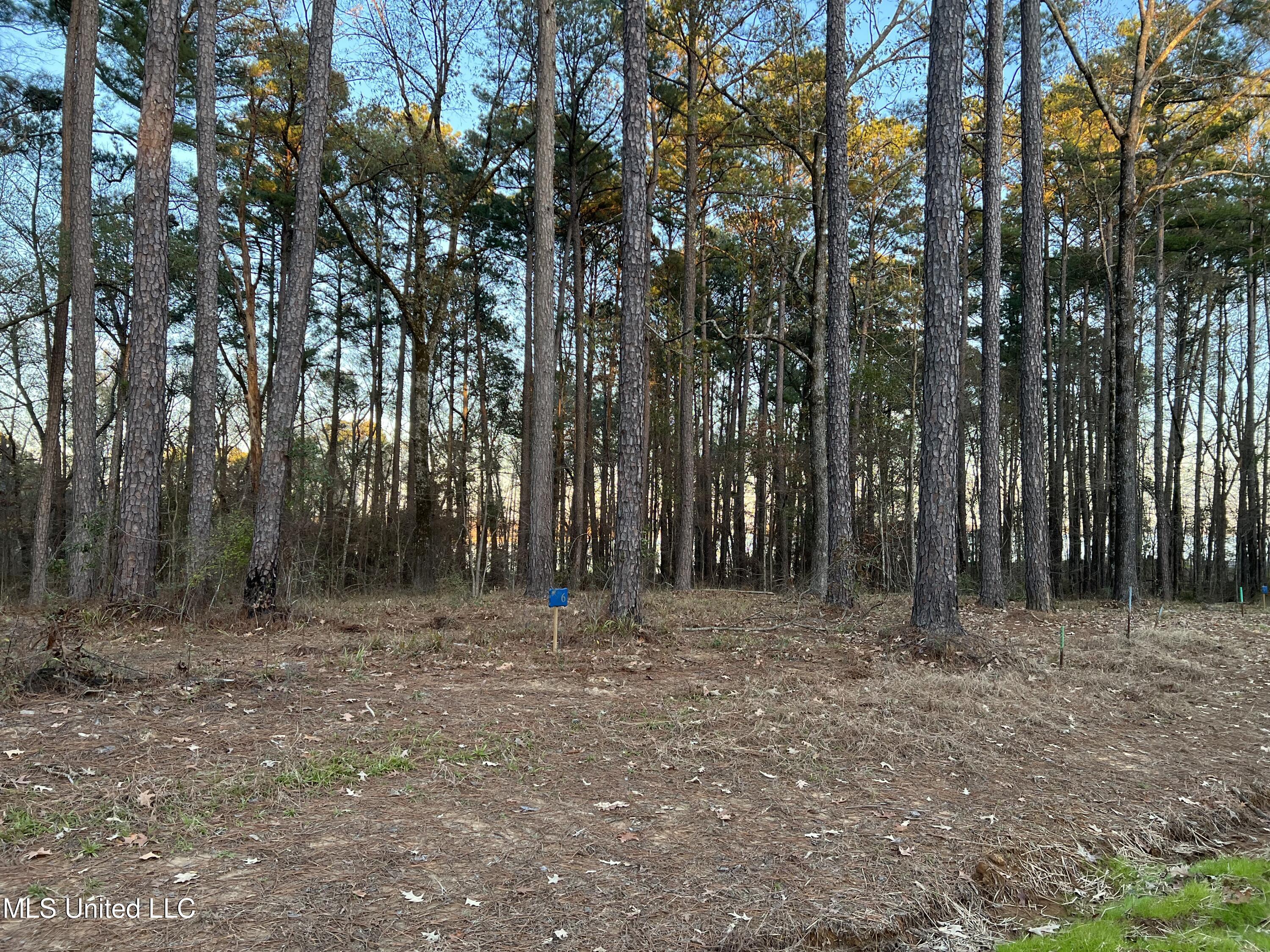Image 3: Expedition Point lot 6