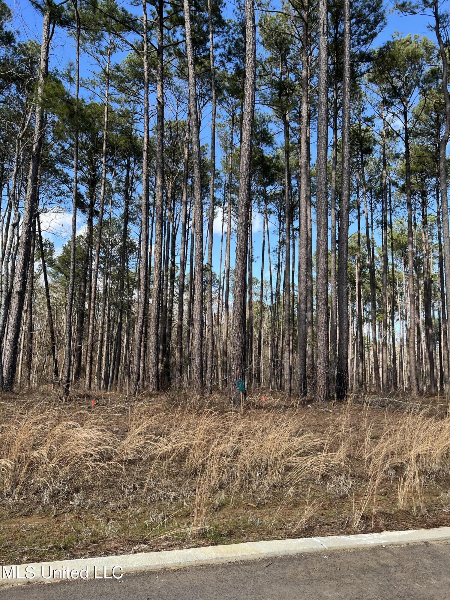 Image 3: Expedition Point lot 39