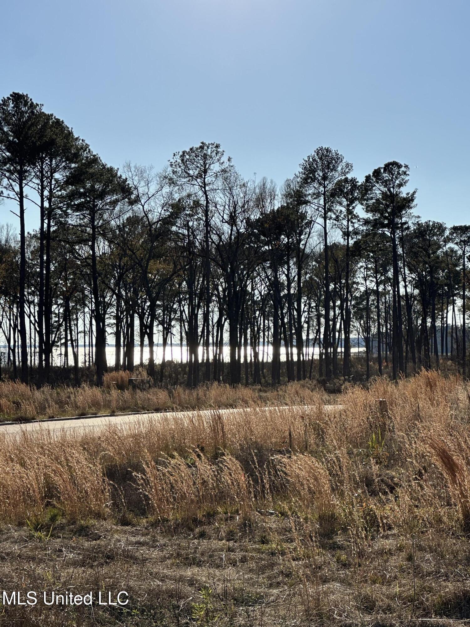 Image 3: Expedition Point Lot 29
