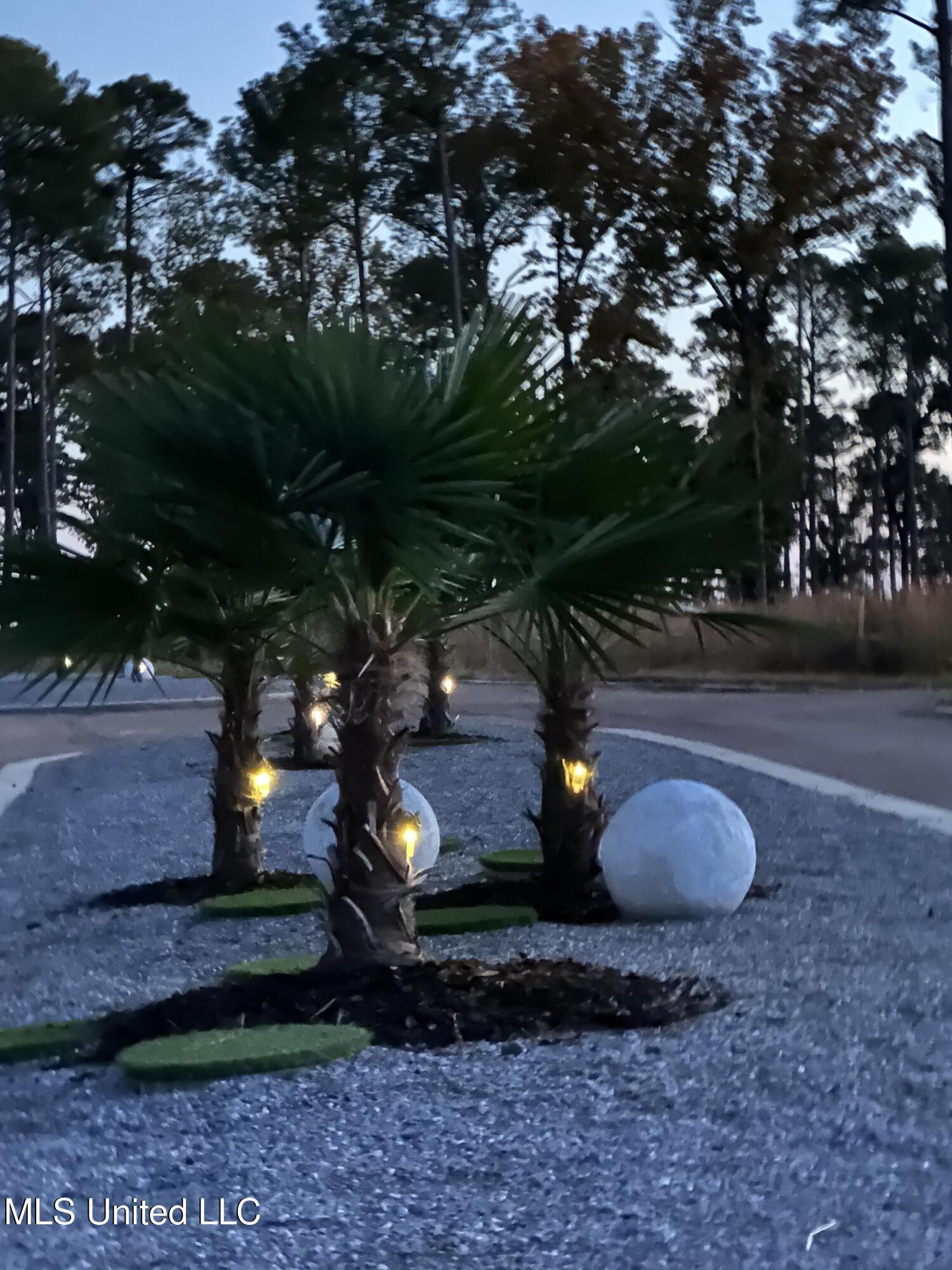 Image 3: Expedition Point Palm Evening View