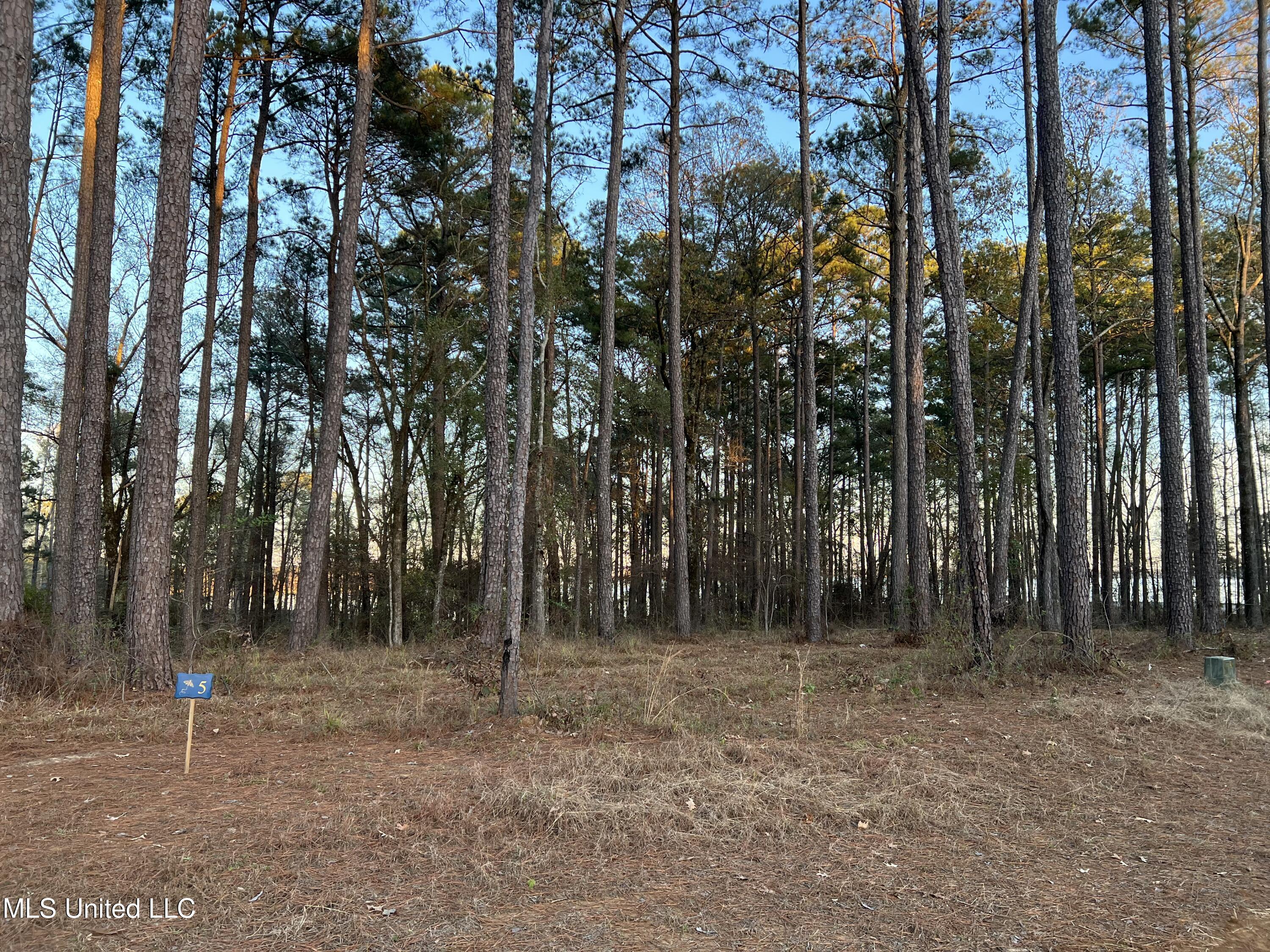 Image 4: Expedition Point lot 5