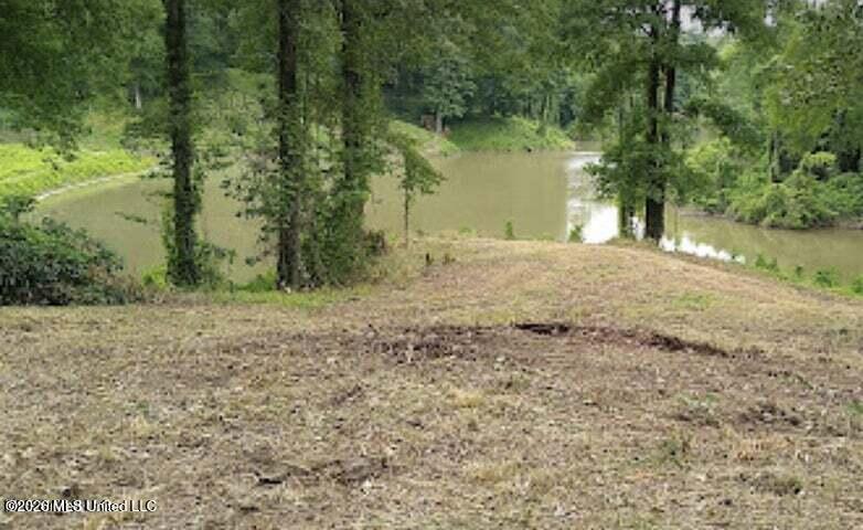 Image 4: Photo taken from the 5 acre lot