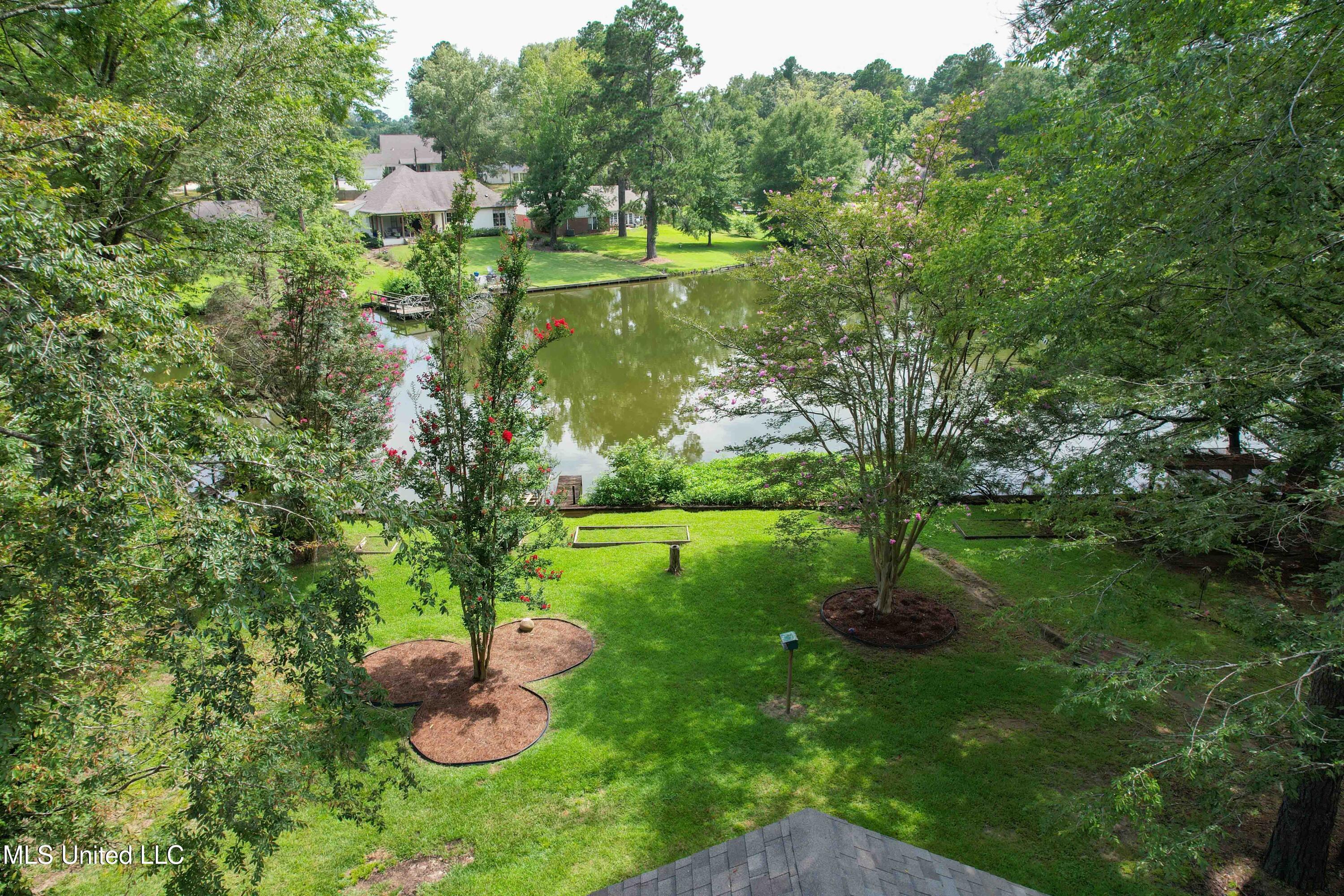 Image 3: 172 Lorman Lane-29