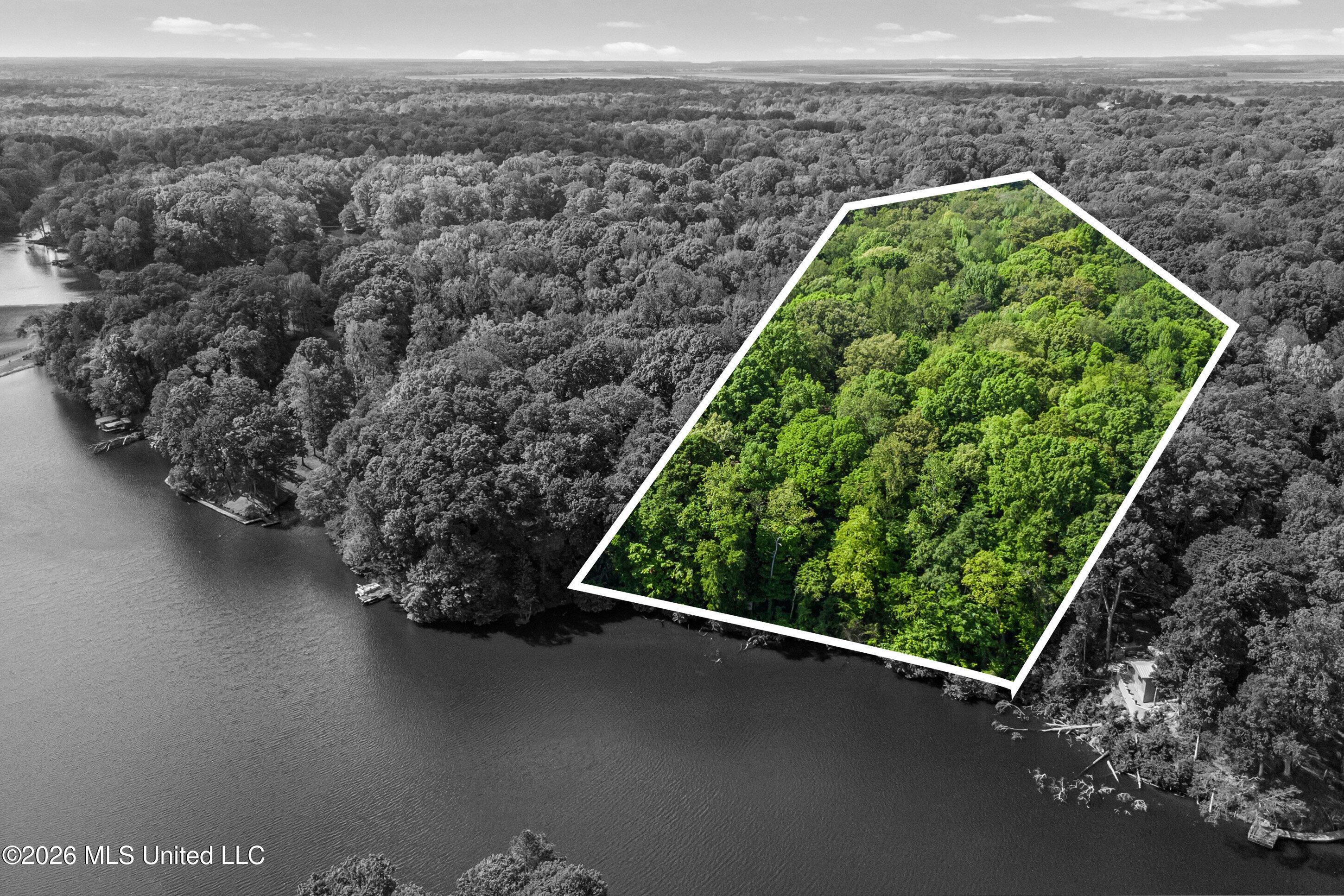 Image 1: 4_dji_0070_print lot lines