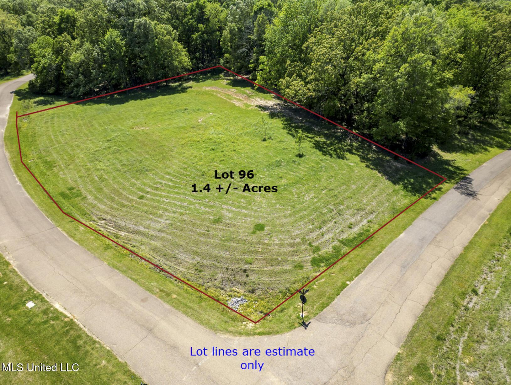 Image 1: Lot 96 Lot lines-1