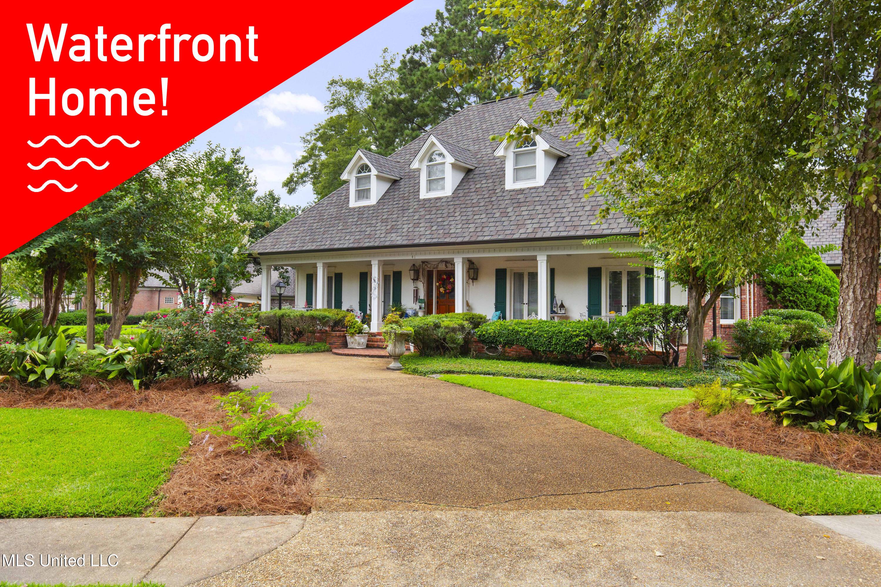 Image 1: 41 Long Cv-1a