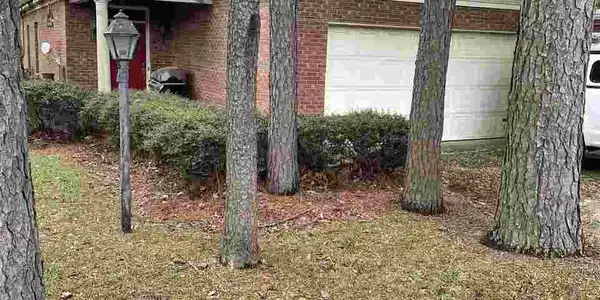 202 COMMONWEALTH DR