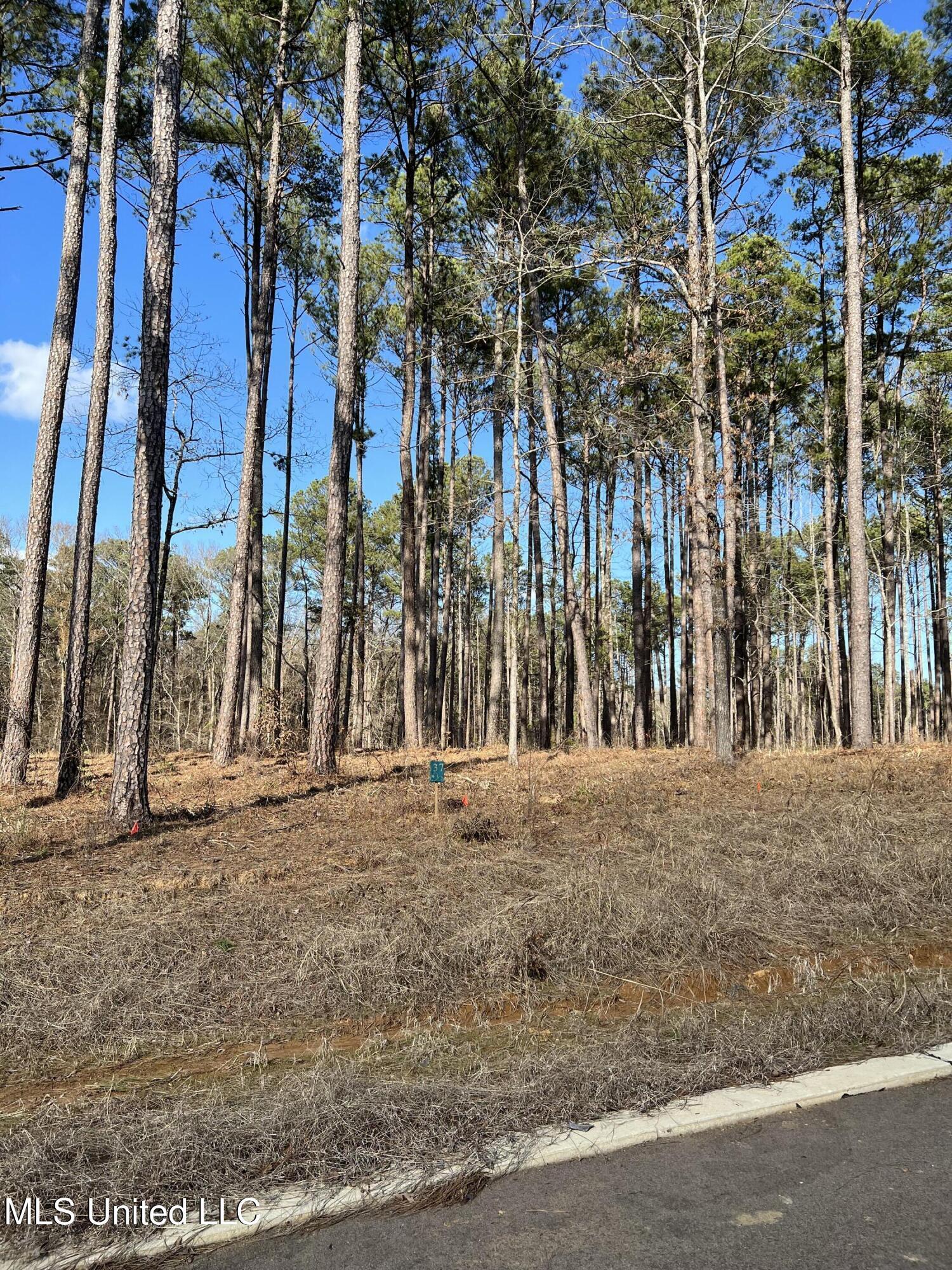 Image 3: Expedition Point Lot 37