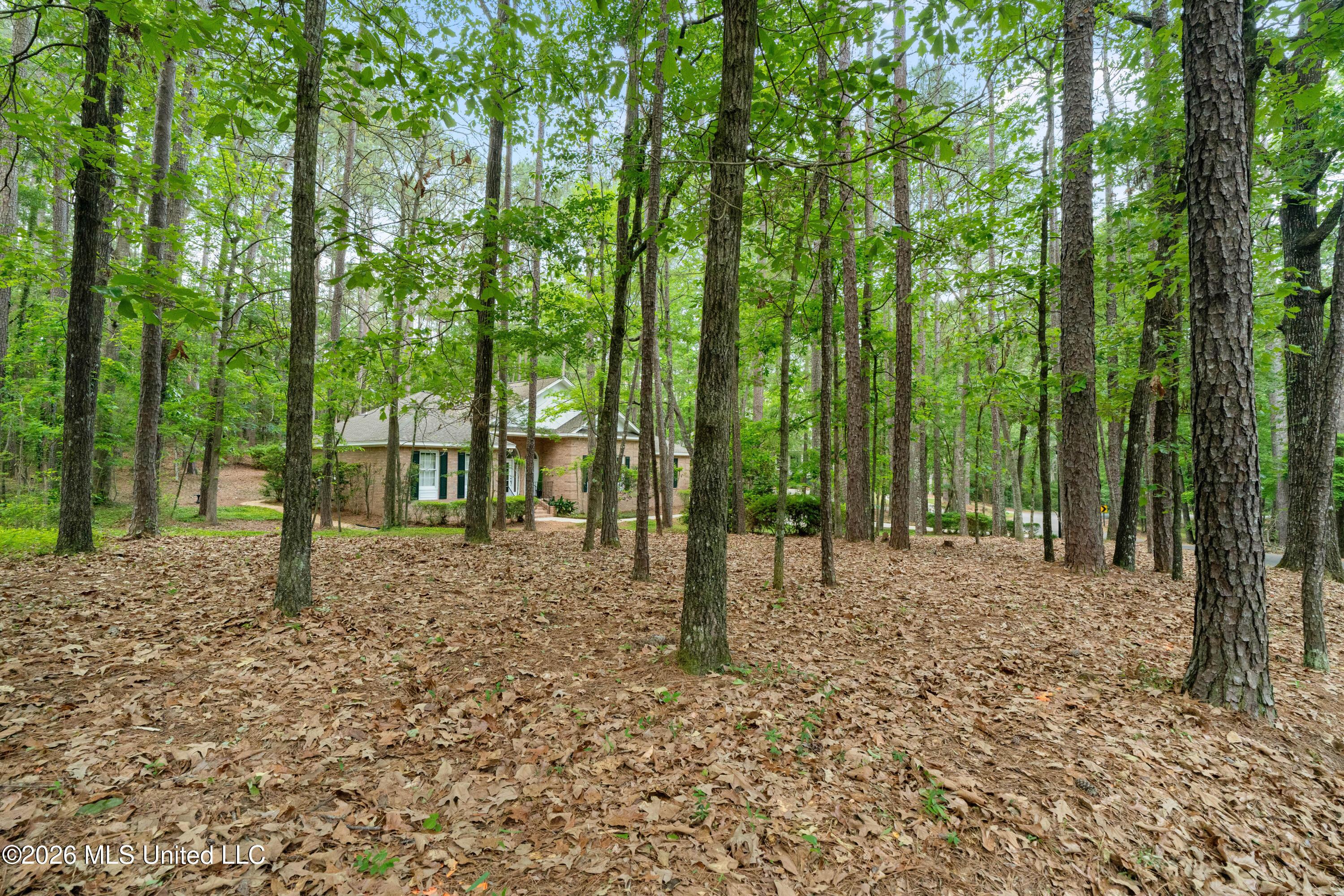 Image 3: 28_Canebrake_Boulevard-5