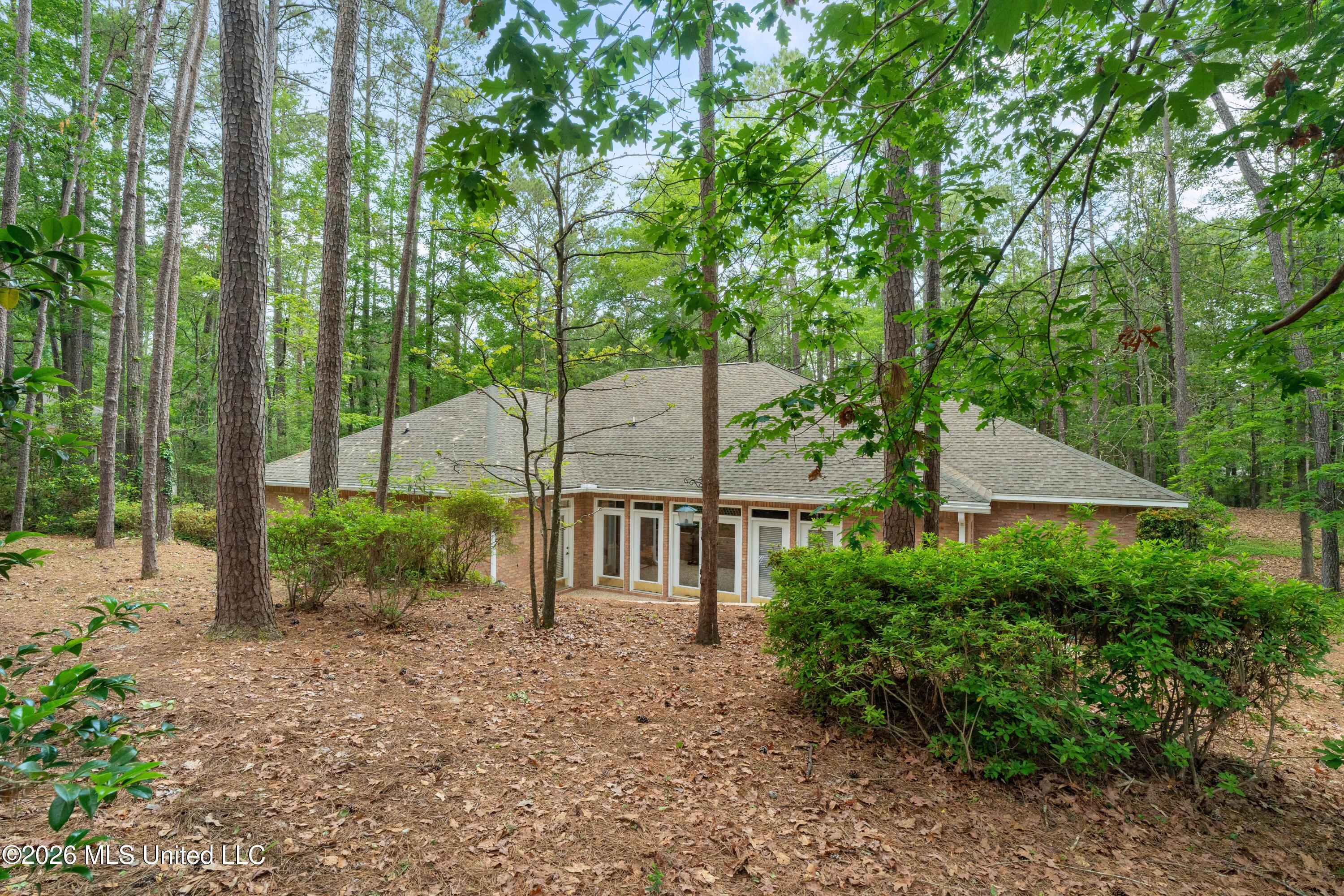 Image 4: 28_Canebrake_Boulevard-18