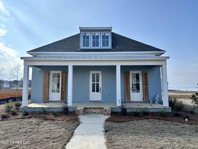 919 Bald Eagle Drive