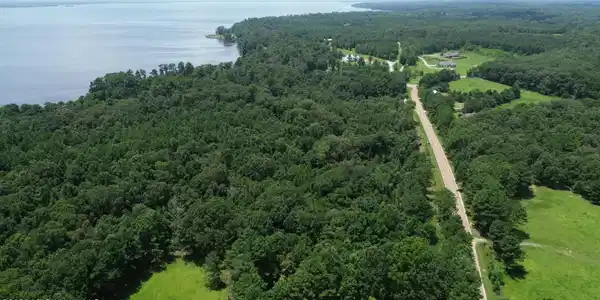 Image 2: DJI_0389