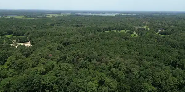 Image 3: DJI_0395