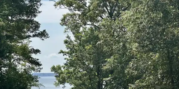 Natchez Drive N