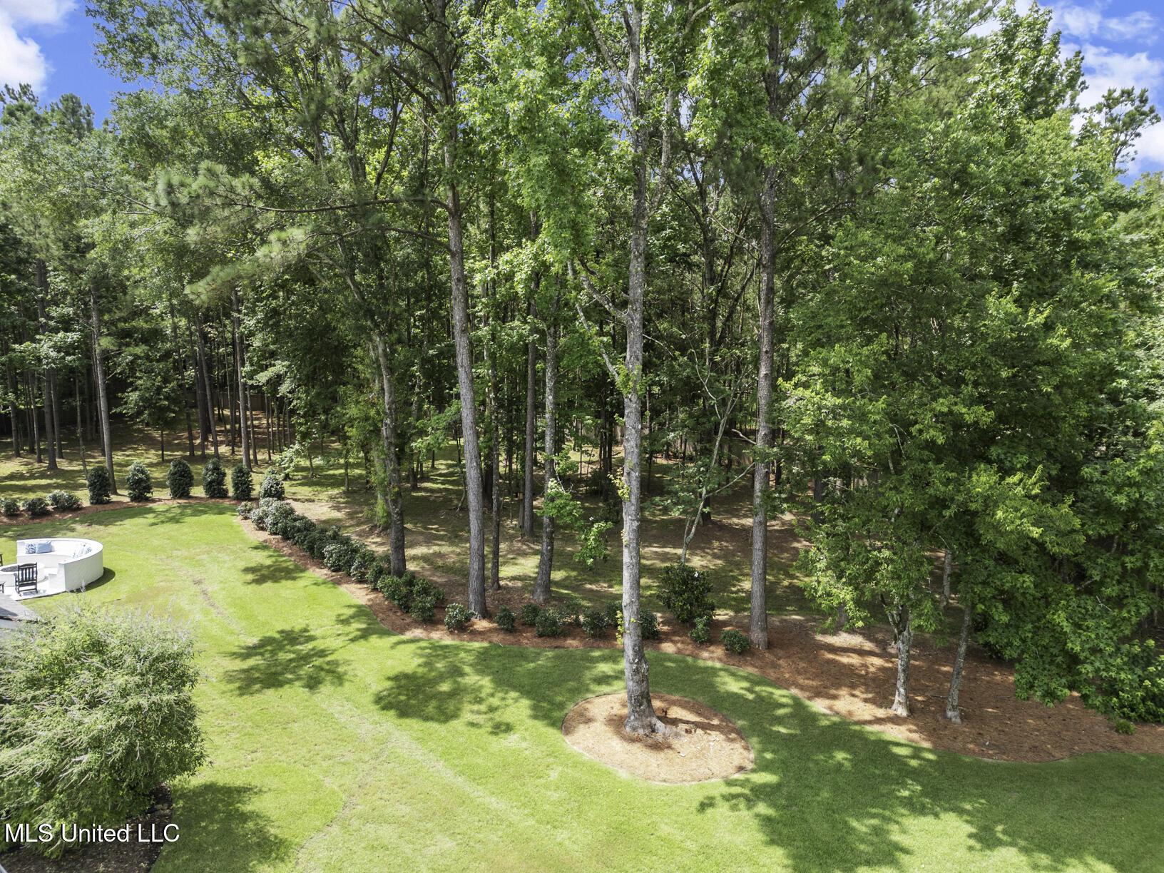 Image 3: 502 Cypress Cv Drone-3