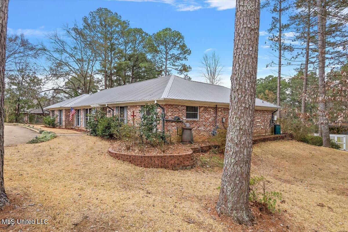 Image 2: 02-DJI_0731