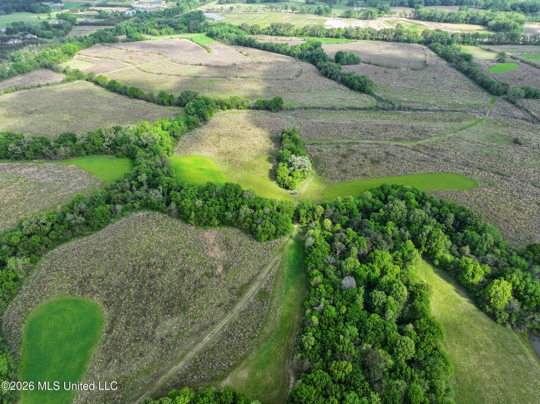Image 3: DJI_20260401101448_0004_D