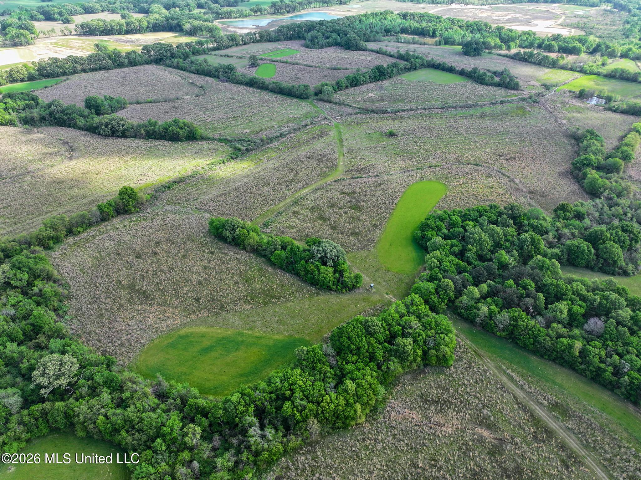 Image 4: DJI_20260401101524_0005_D