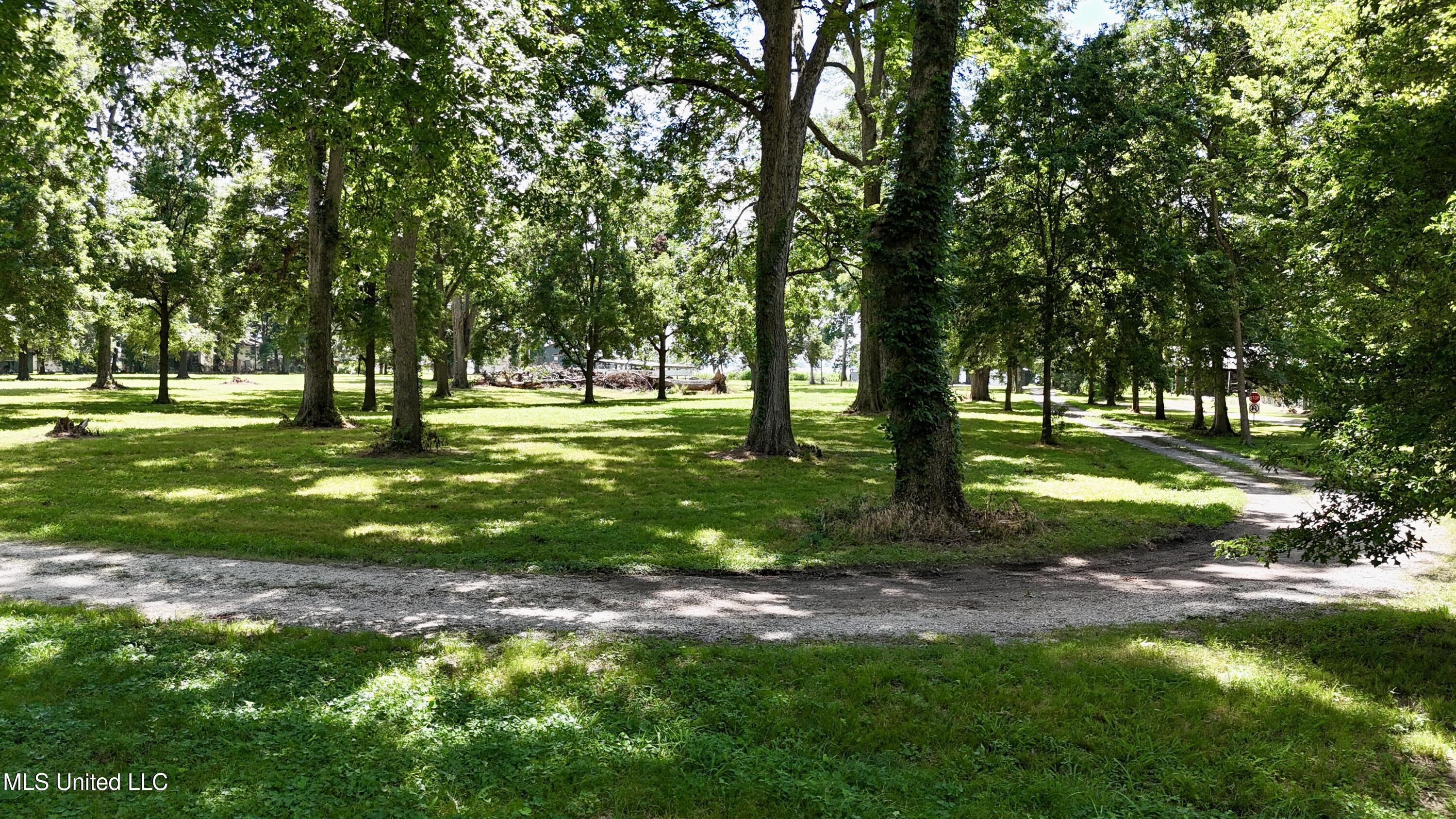 Image 1: View