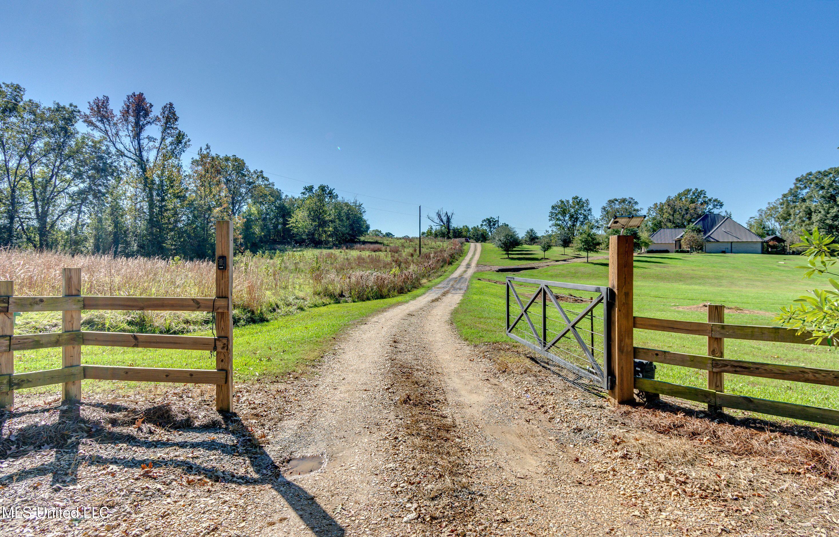 Image 3: Road Entrance