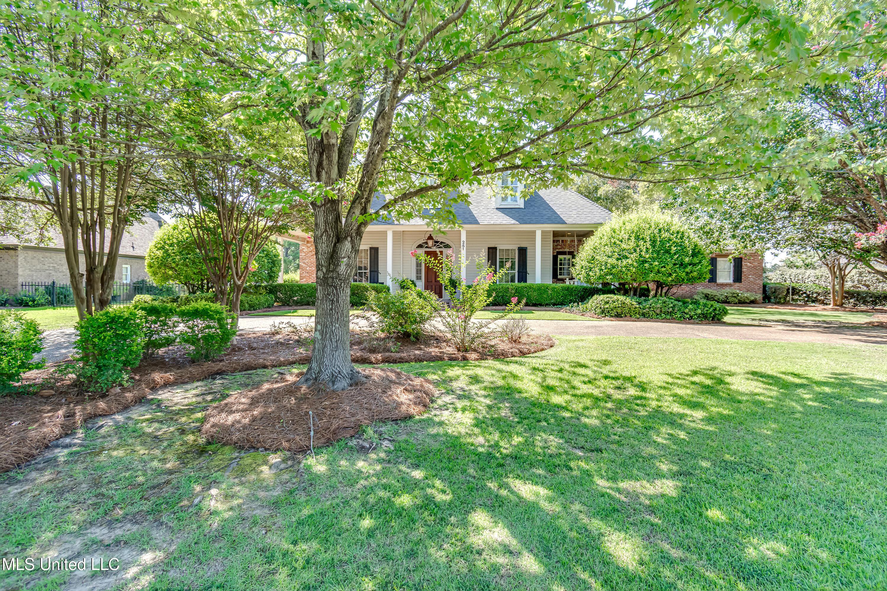 Image 2: 251 Caroline Blvd-5