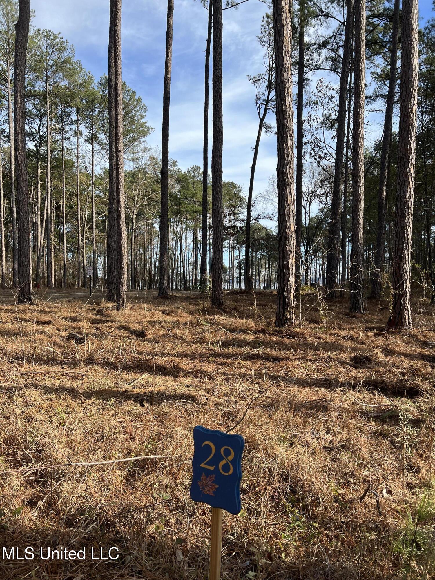 Image 3: Expedition Point lot 28