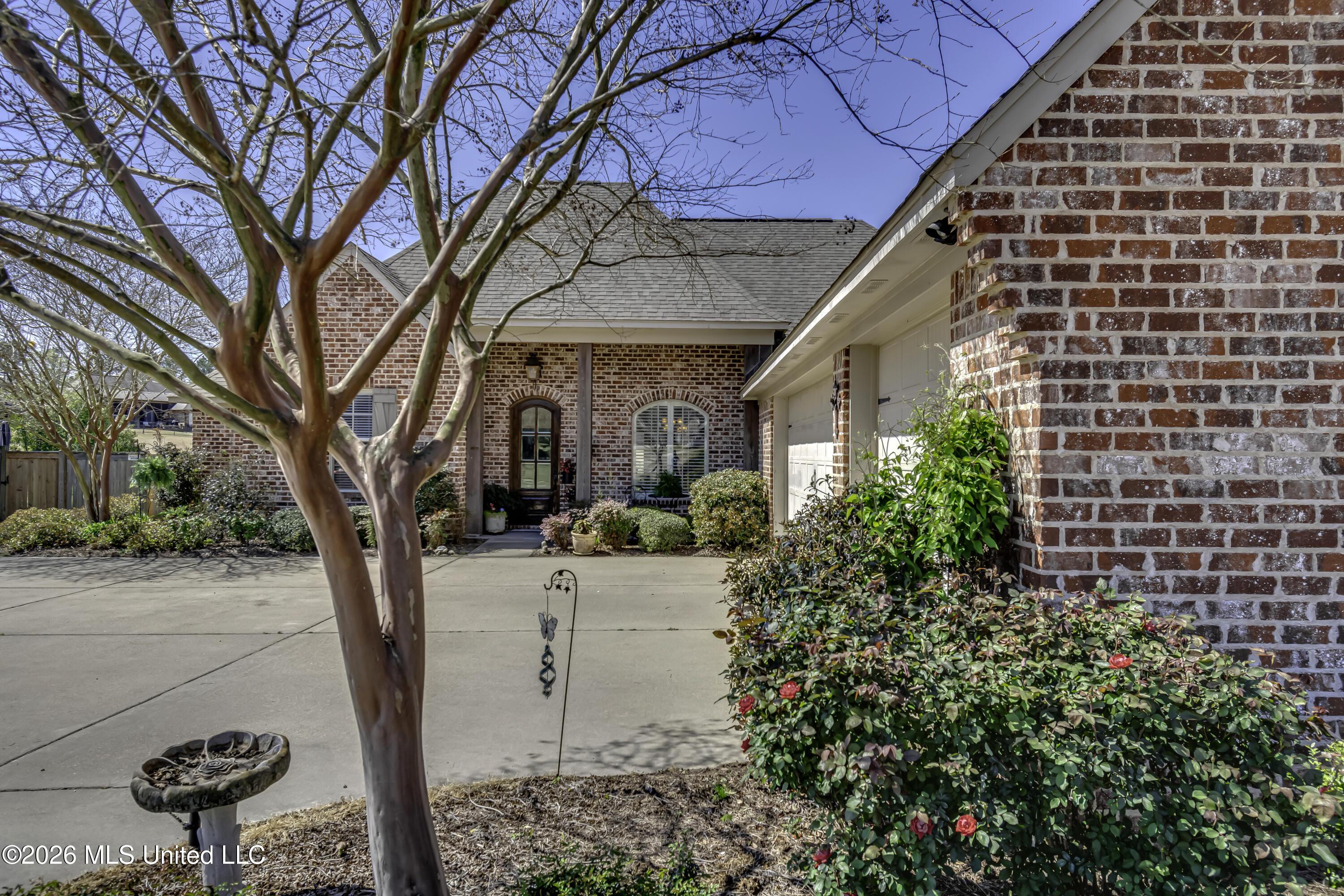 Image 3: 113 Caiborne--7