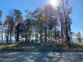 N Natchez Drive