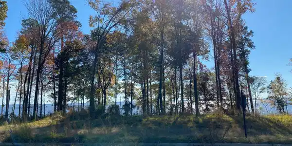 N Natchez Drive
