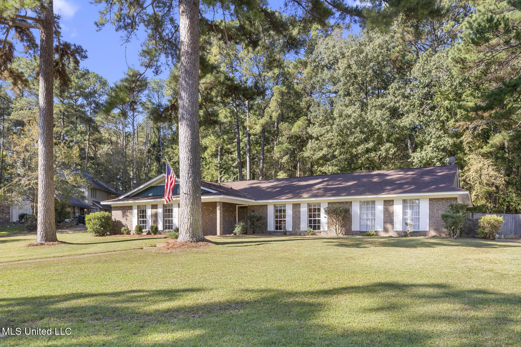 Image 2: 69 Terrapin-1