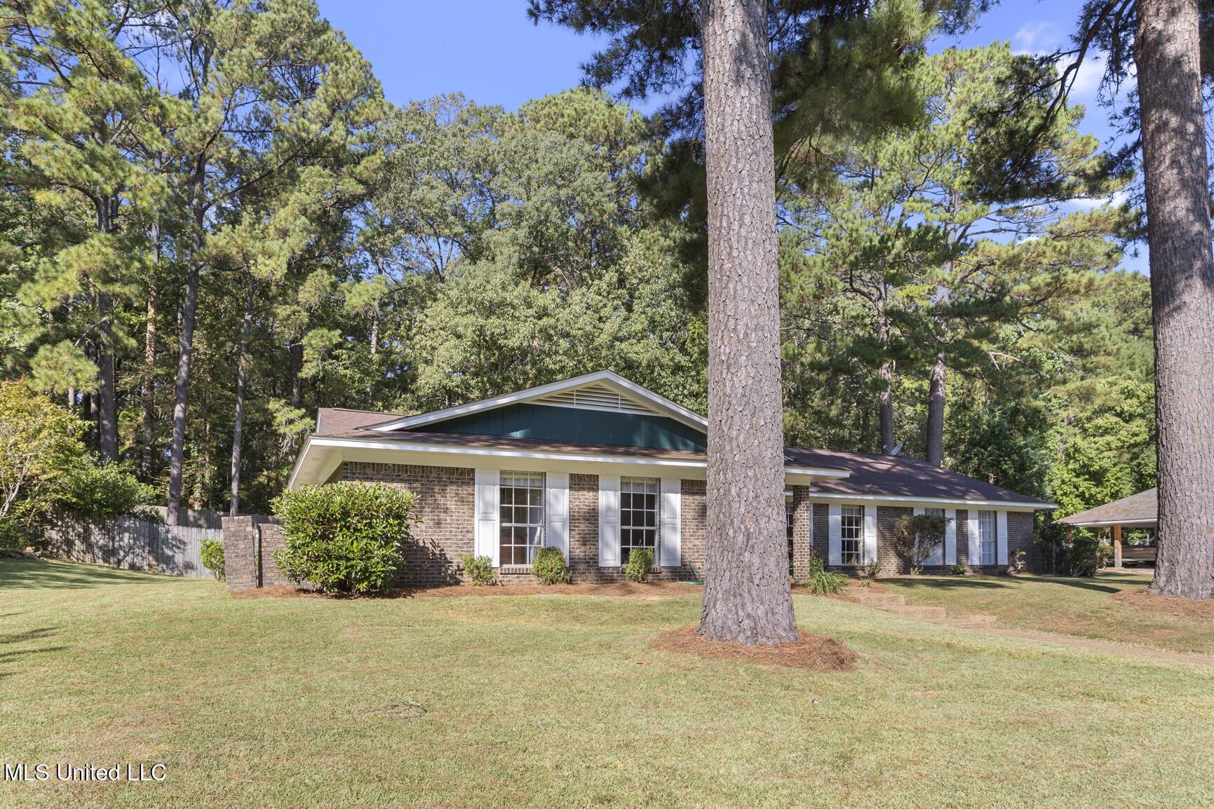 Image 3: 69 Terrapin-3