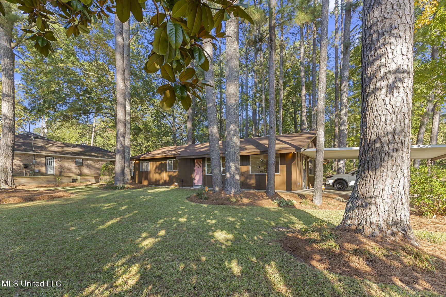 Image 2: Large Corner Landscaped Lot