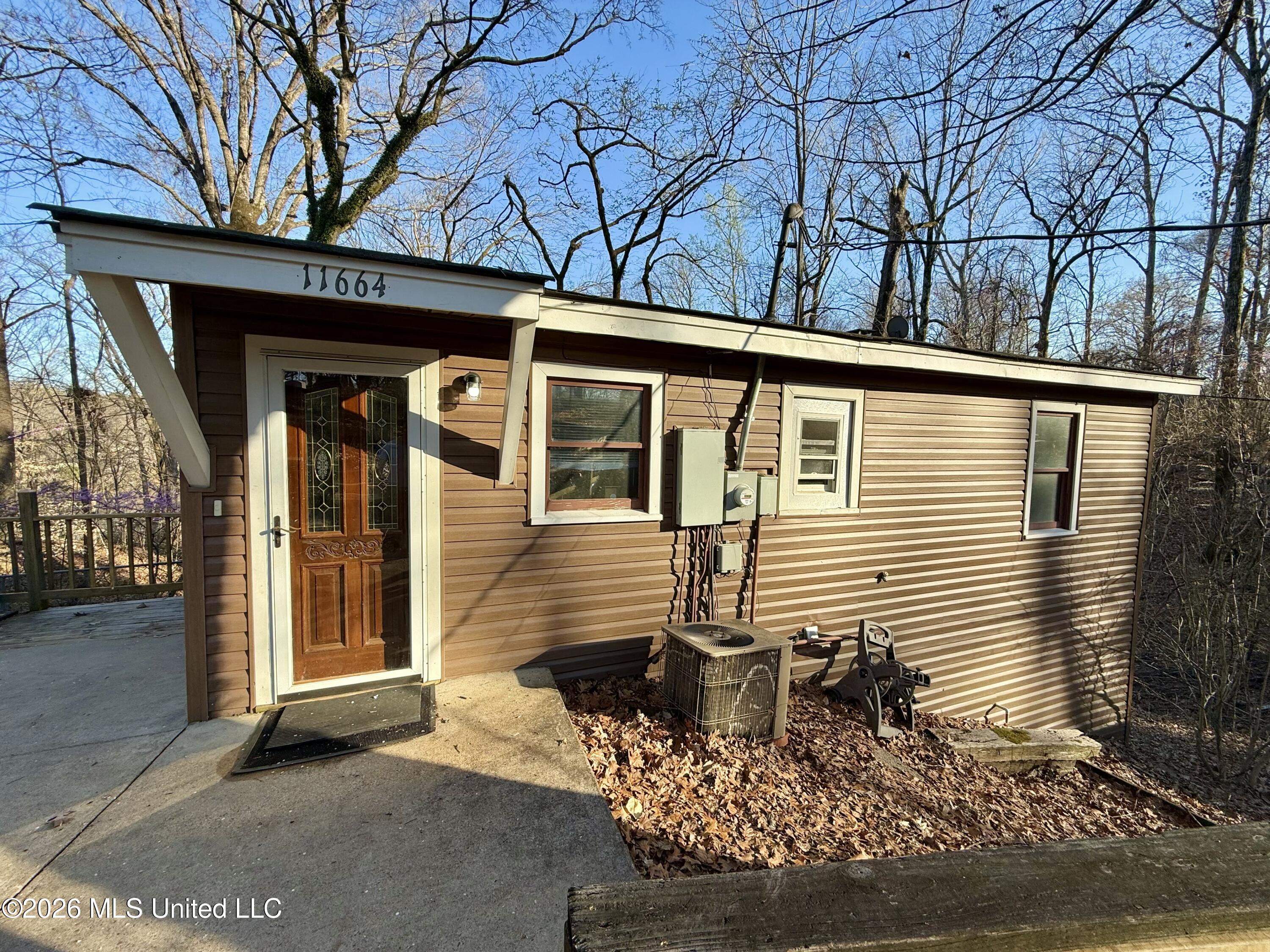 Image 1: Joy_20260308_172843_078_photo