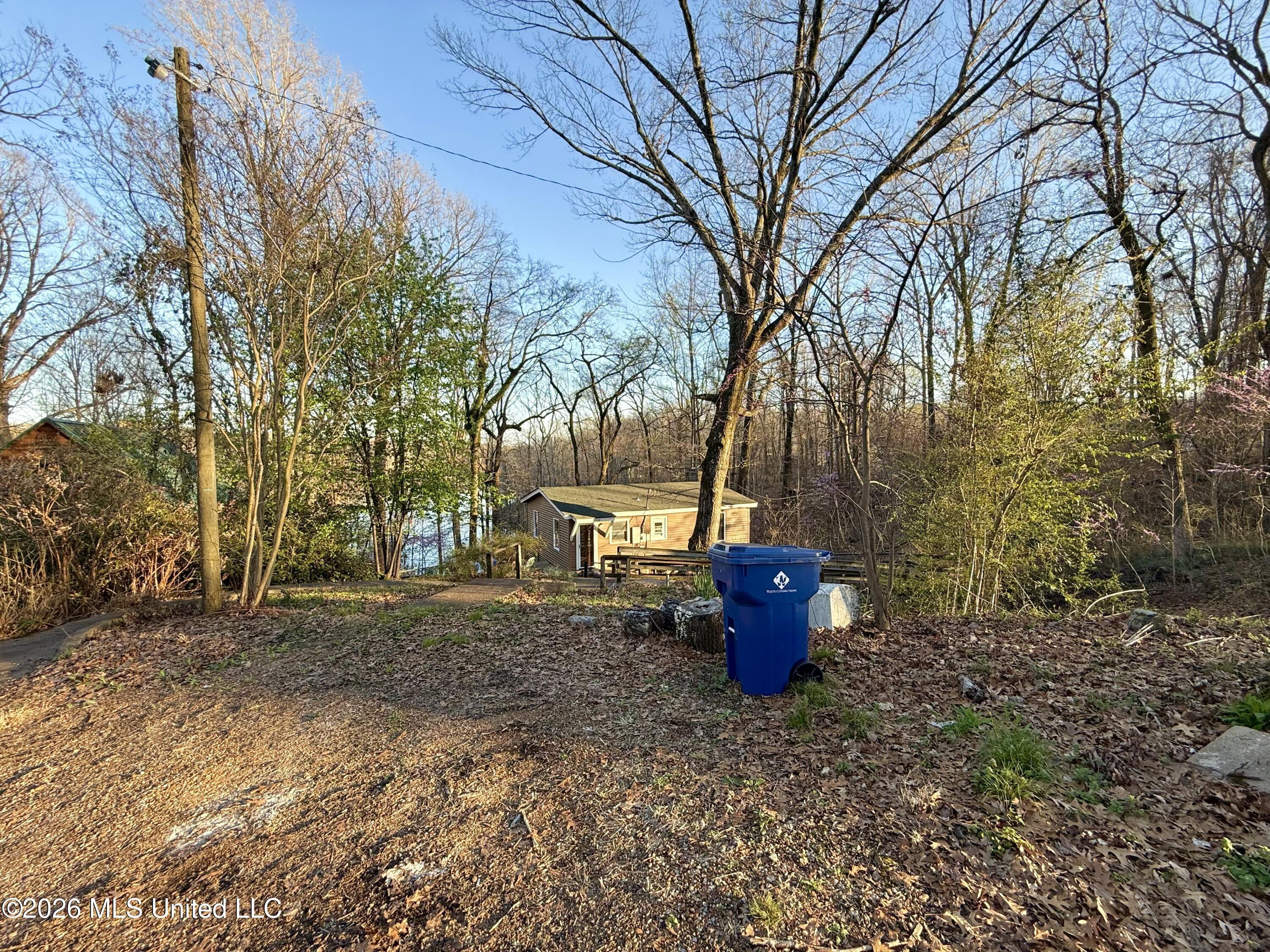 Image 3: Joy_20260308_180834_373_photo