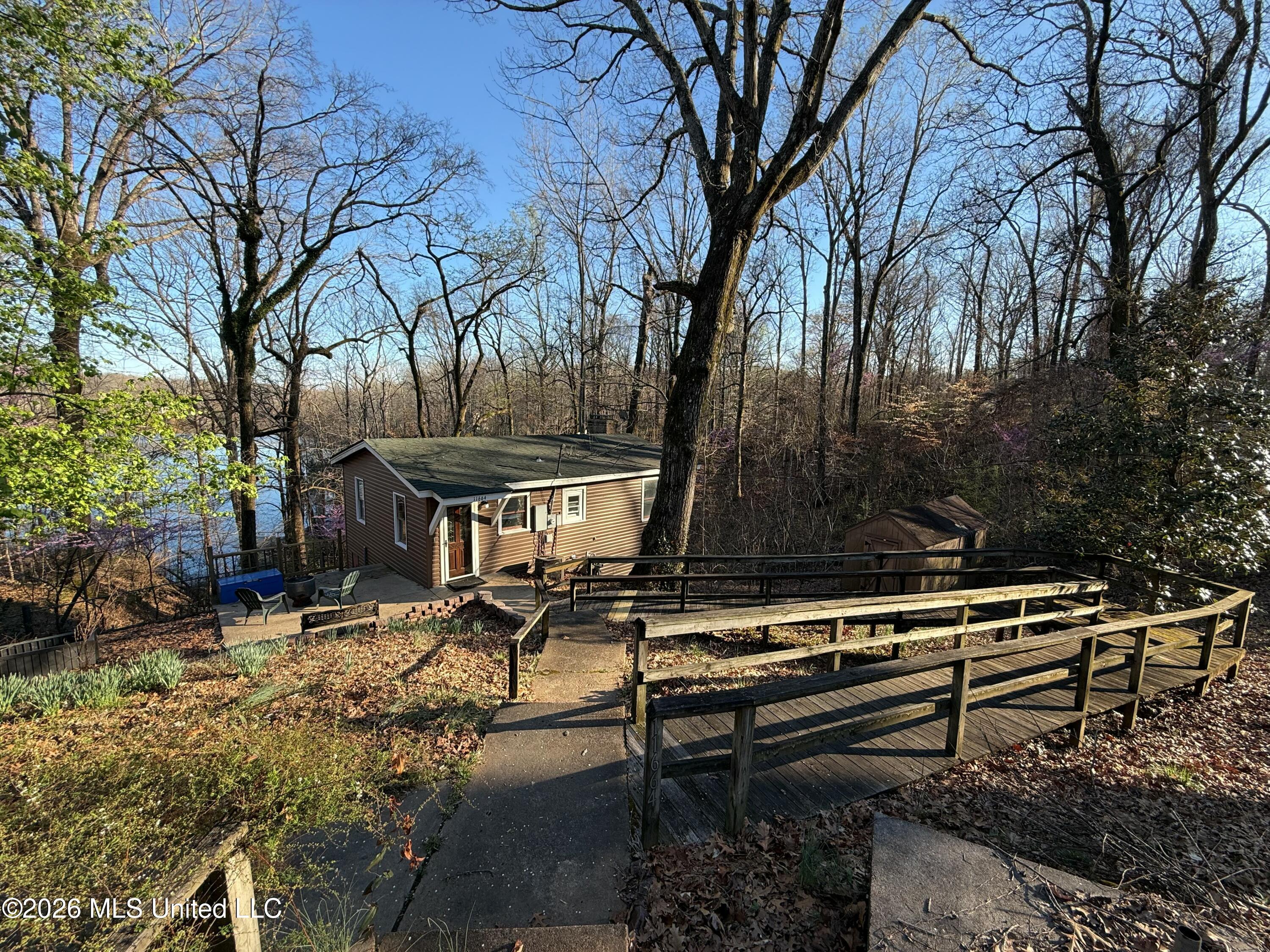 Image 4: Joy_20260308_172642_251_photo