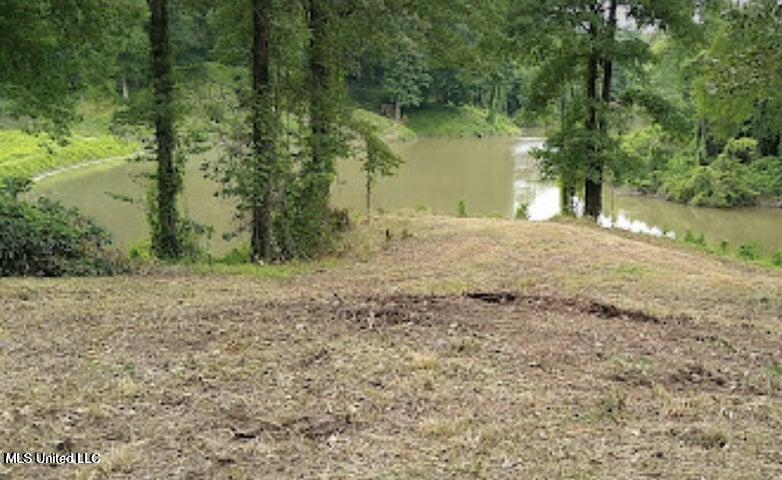 Image 1: View of the private pond