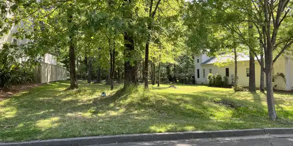 Azalea Street