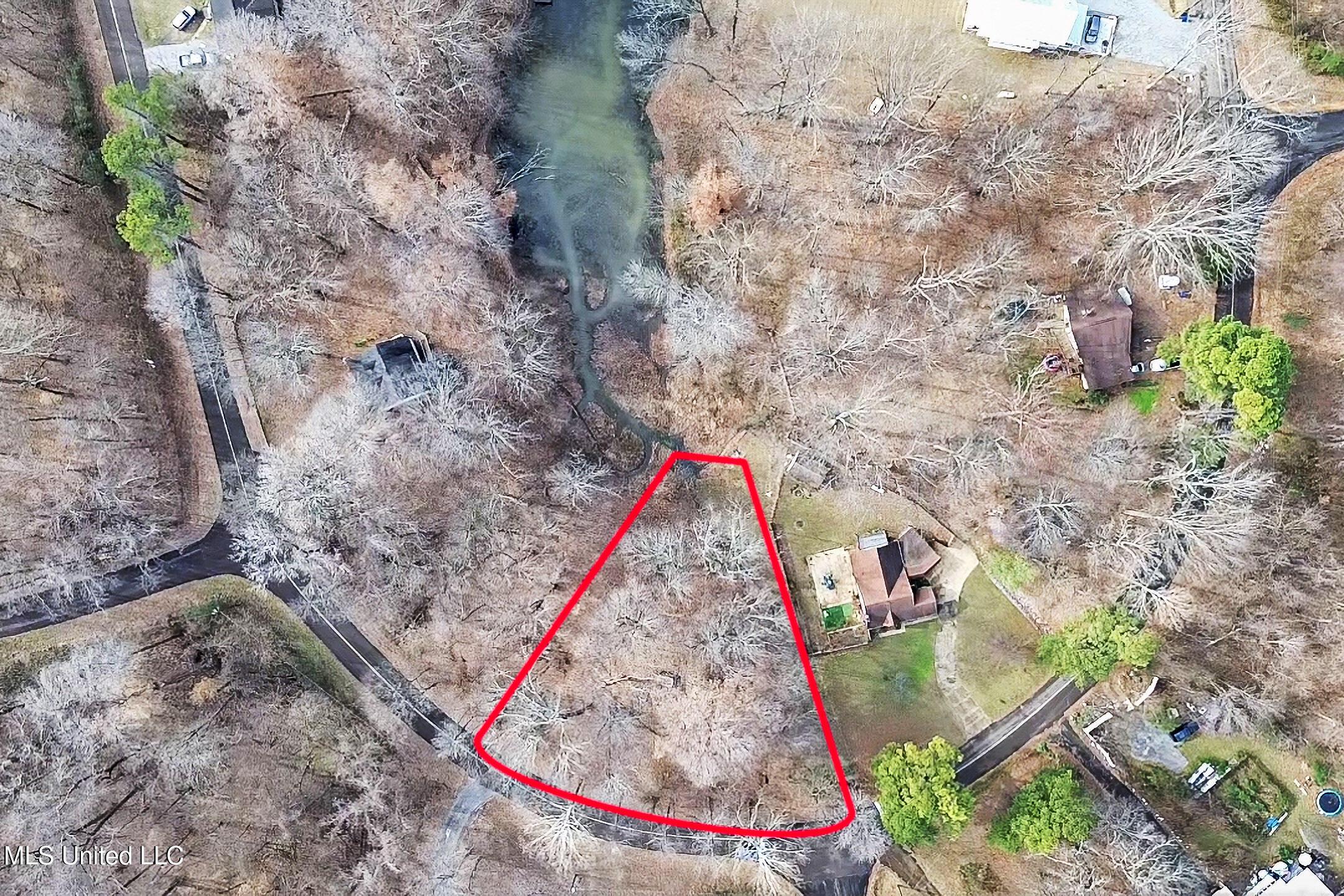 Image 2: 13-2026-01-09-11-57-33-101-Edit