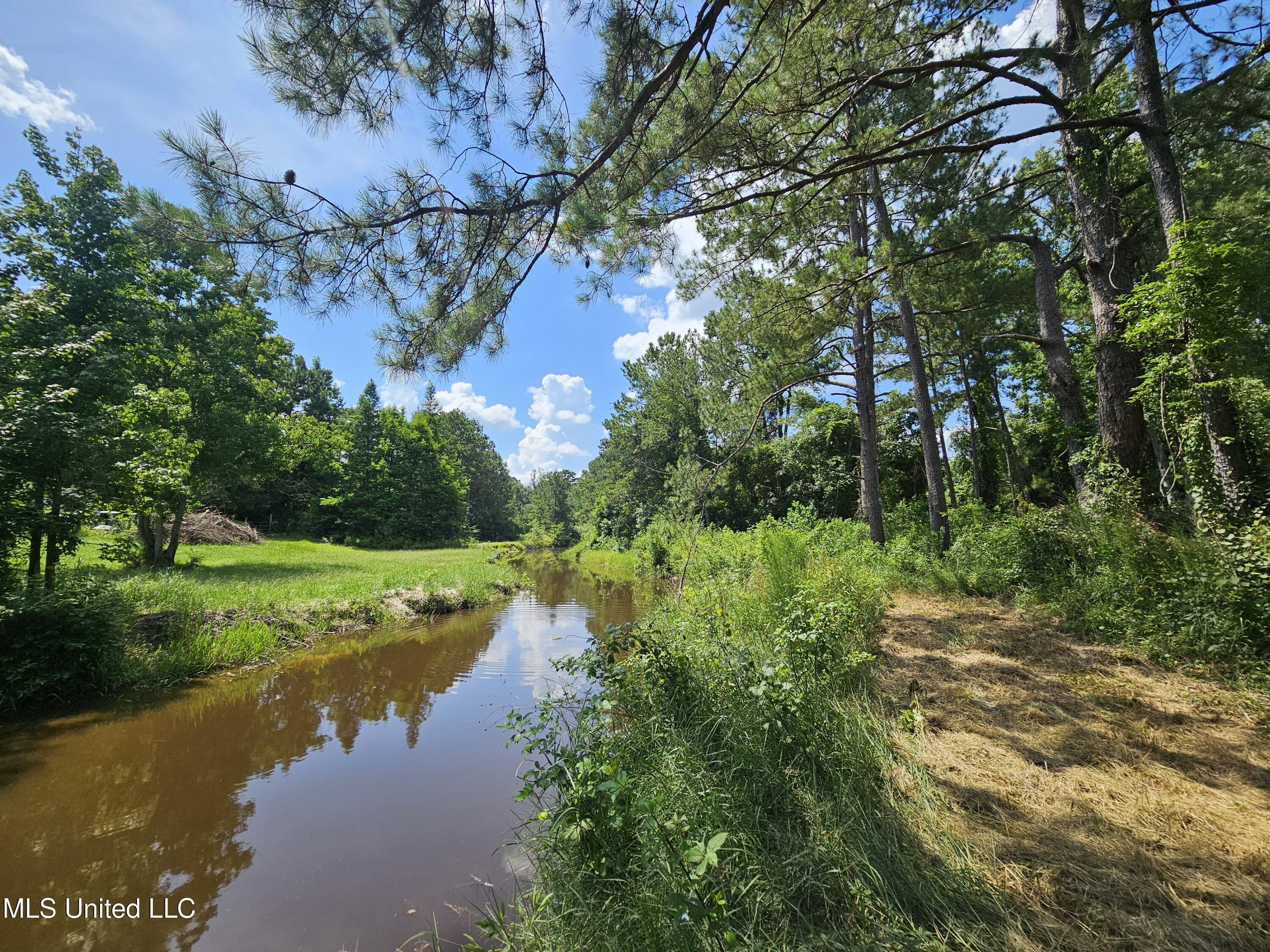 Image 1: Creek/Canal Front