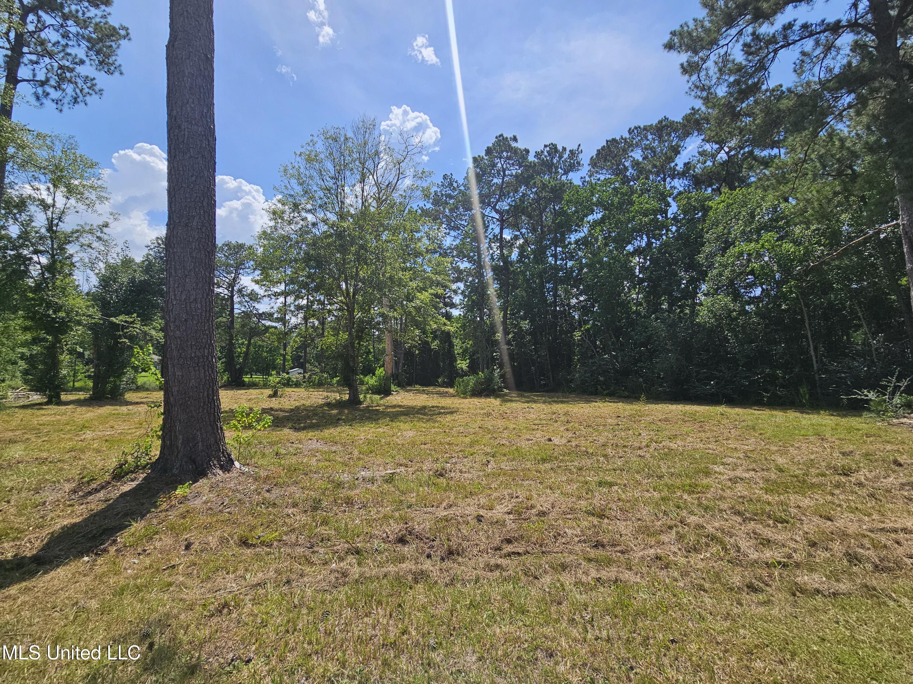 Image 2: Cleared level Lot