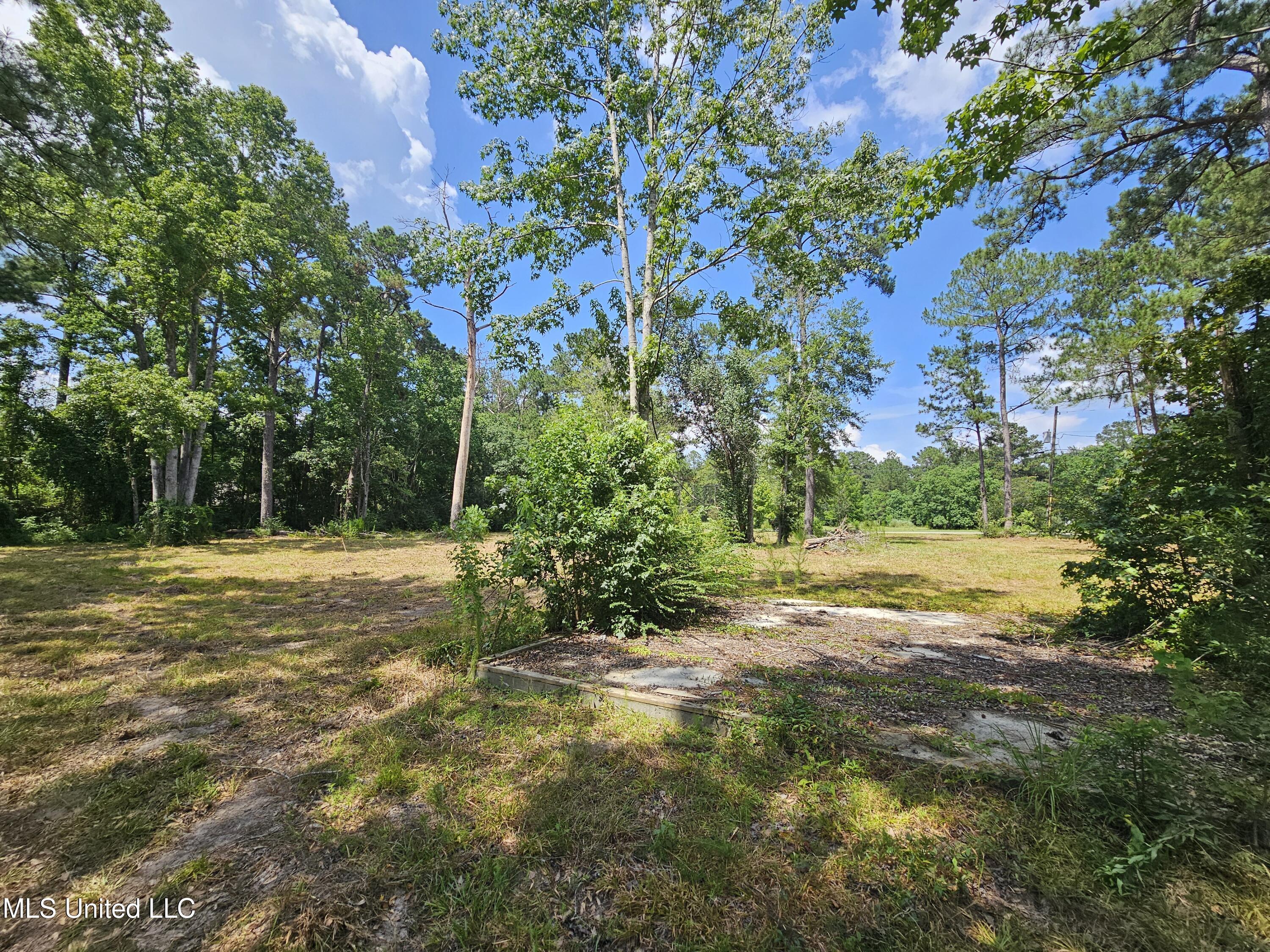 Image 3: Cleared level Lot