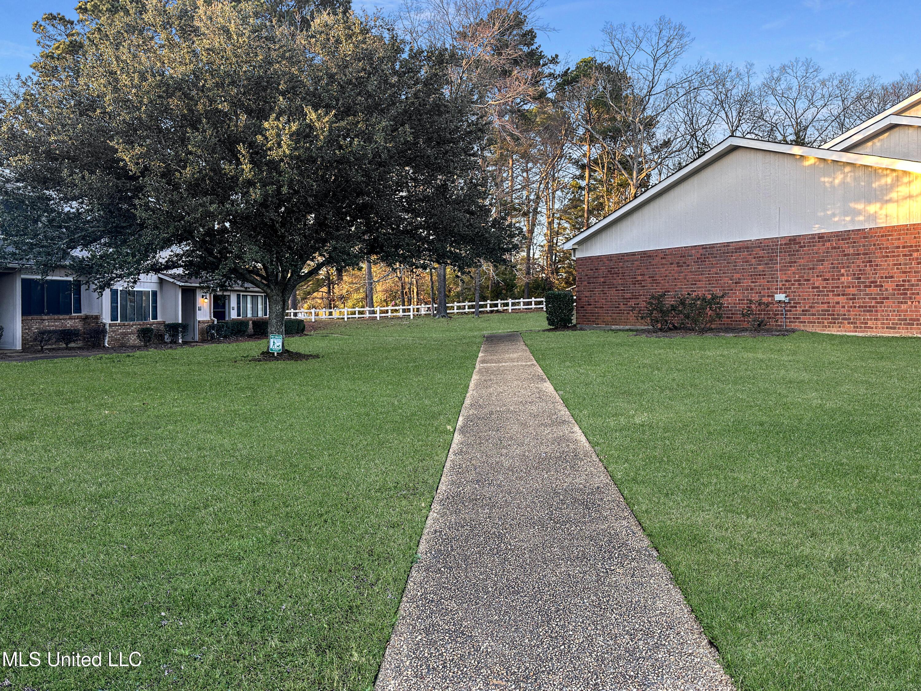 Image 4: 4442cde8e1947aff2c1a27113efdbeff2064de86